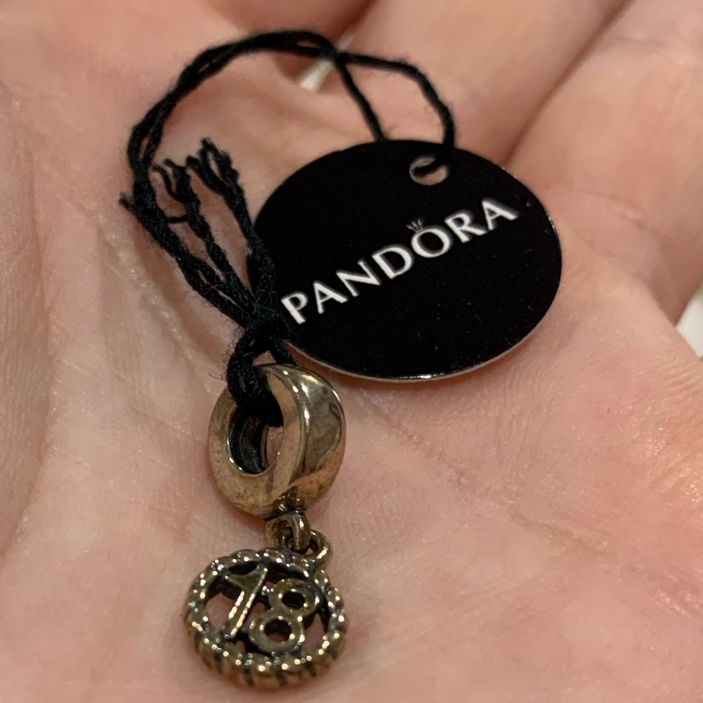 18 Pandora charm